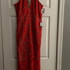 Dress the Population Red Floral Lace Midi Dress